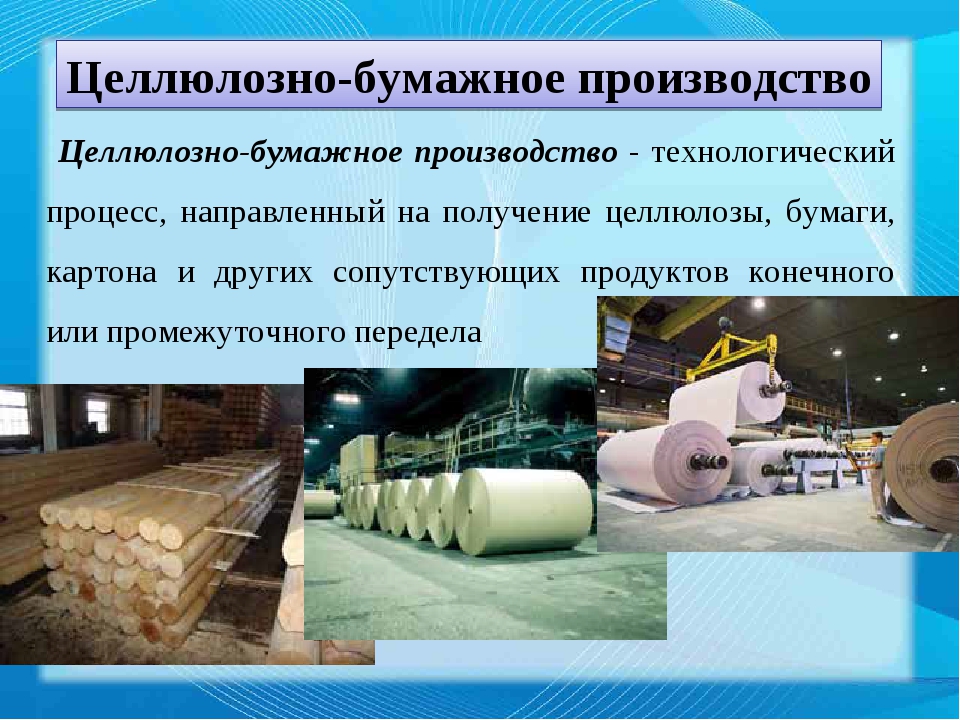 Объясните почему целлюлозно бумажное. Целлюлозно бумажная отрасли промышленности Калининград. Целлюлозно-бумажная промышленность. Сырье для производства бумаги. Производство целлюлозы.