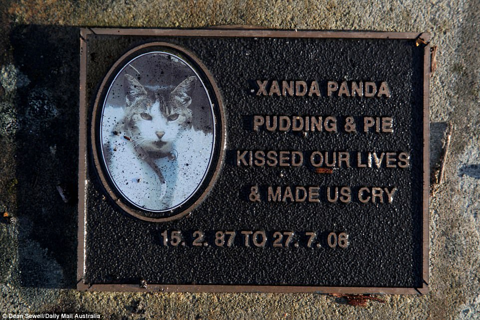 Xanda Panda Pudding & Pie who 