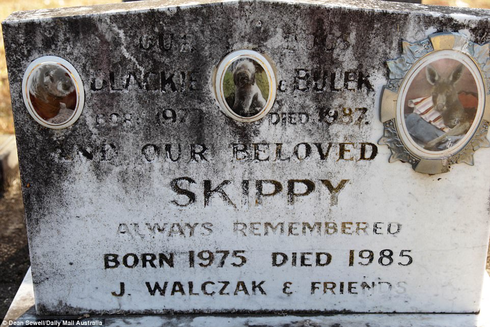 Two dogs and a kangaroo called Skippy are remembered on this headstone at the Animal Memorial Cemetery and Crematorium at Berkshire Park in western Sydney