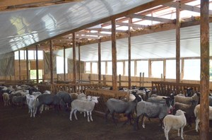 Постройка овчарни для содержания овец